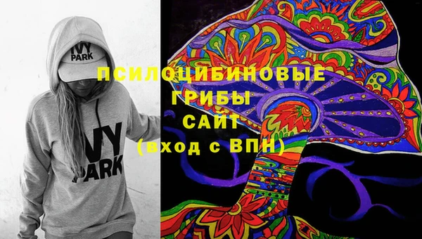 apvp Алексин